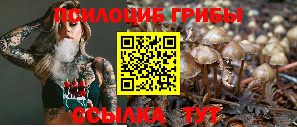Галлюциногенные грибы мухоморы Кингисепп